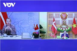 Thủ tướng Việt Nam - Đan Mạch hội đàm trực tuyến, thông qua văn kiện quan trọng